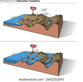 Vector illustration of Dalmatian coastline formation
Two-panel diagram showing how sea-level rise transforms parallel mountain ranges and valleys into an island chain and long, narrow coastal inlets.
