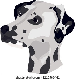 Vector Illustration of Dalmatian Dog