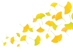 Vector illustration of dancing ginkgo biloba