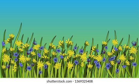 Vector illustration - Dandelion botanical isolated illustration. Plant, flowers, leaves, hand drawn