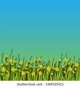 Vector illustration - Dandelion botanical isolated illustration. Plant, flowers, leaves, hand drawn