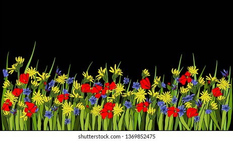Vector illustration - Dandelion botanical isolated illustration. Plant, flowers, leaves, hand drawn