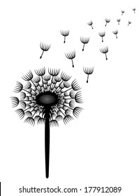 Vector Illustration of Dandelion. eps10, grayscale, black and white. isolated on white background