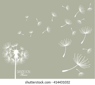 Vector Illustration Dandelion Flower.