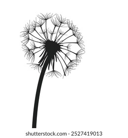 Vetor ilustração dandelion flor. O dente-de-leão soprando ao vento. O vento infla um dente de leão