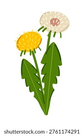 Vector illustration of dandelion flower in flat style.