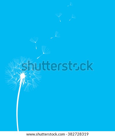 vector illustration of a dandelion flower silhouette
