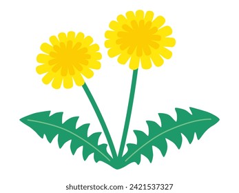 Ilustración vectorial del diente de león. flores, naturaleza, primavera