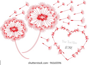 vector illustration with dandelion flowers in silhouette and red heart made of dandelion seeds with place for your text isolated on white background