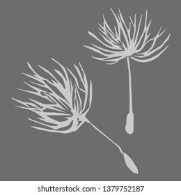 Vector illustration of dandelion fluff