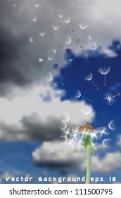 vector illustration of dandelion with flying seeds on cloudy sky