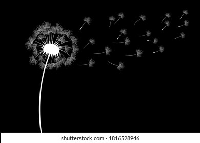Vector illustration of a dandelion with flying seeds. Black outline.