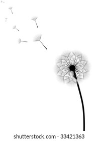Ilustración vectorial de dandelion con semillas voladoras aisladas en fondo blanco