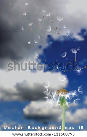 vector illustration of dandelion with flying seeds on cloudy sky