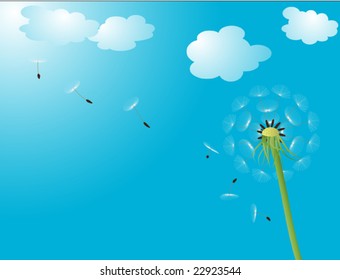 Vector illustration of a dandelion head with seeds flying into blue sky