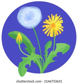 Ilustración vectorial de un diente de león sobre un fondo azul en un círculo