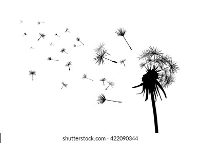 Vector illustration of dandelion on white background