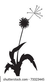 Ilustración vectorial de un contorno de diente de león con un zumbido