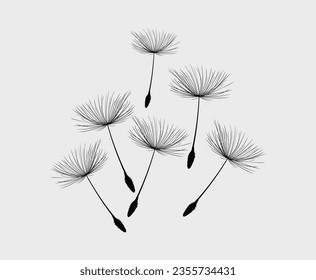 Vector illustration dandelion seed blowing in the wind. Dandelion seed icon