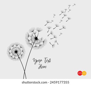 Vector illustration dandelion seed blowing in the wind. Dandelion seed icon. Dandelion on a white background. Vector illustration