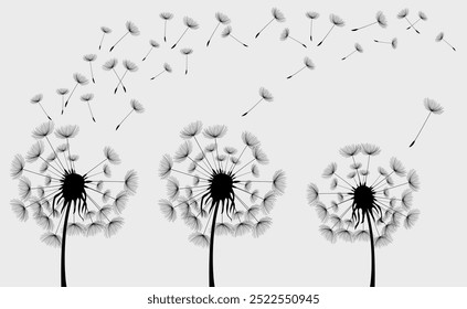 Vector illustration dandelion seed blowing in the wind. Dandelion seed icon.