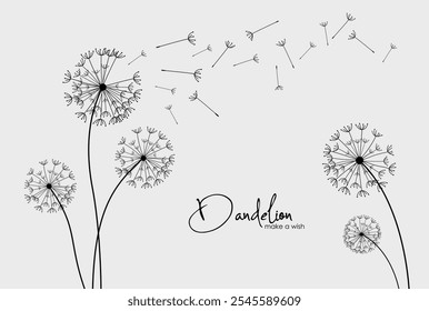 Vector illustration dandelion seed blowing in the wind.