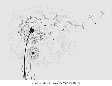 
Vector illustration dandelion seed blowing in the wind. Vector illustration