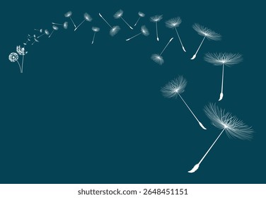 Vector illustration dandelion seed blowing in the wind. Dandelion on a blue background.