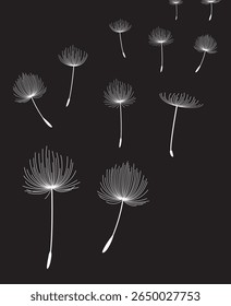 Vector illustration dandelion seed blowing in a black background