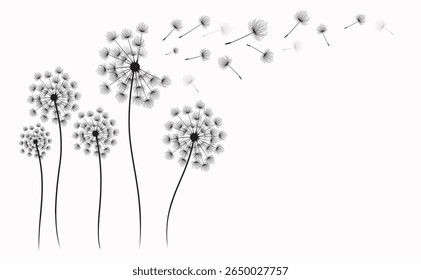 Vector illustration dandelion seed blowing in the wind.