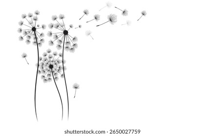 Vector illustration dandelion seed blowing in the wind.