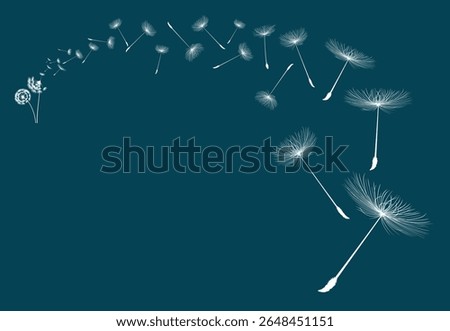Vector illustration dandelion seed blowing in the wind. Dandelion on a blue background.