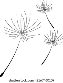 Kronleuchter aus Vektorgrafik im Wind geblasen. Leuchter-Samensymbol.  Vektorgrafik.Protect Natur