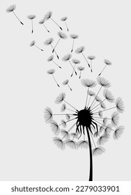 Vector illustration dandelion seed blown in the wind. Dandelion seed icon. Dandelion on a white background. Vector illustration