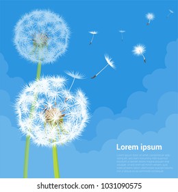 Vector illustration of dandelion seeds blowing away on the wind in the clear blue sky over green spring meadow. Make a wish with dandelion fluff vector abstract background template.