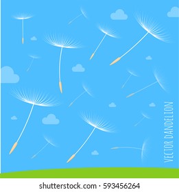 Vector illustration of dandelion seeds blowing away on the wind in the clear blue sky over green spring meadow. Make a wish with dandelion fluff vector abstract background template.