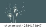 Vector illustration of dandelion time. Beautiful realistic Dandelion seeds blowing in the wind. The wind inflates a dandelion isolated in an editable evening background.