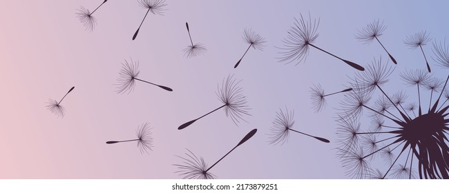 Ilustración vectorial de la hora del diente de león. Hermosas semillas de Dandelion realistas soplando en el viento. El viento infla un diente de león aislado en un fondo editable del cielo púrpura por la noche.