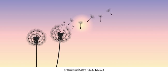 Ilustración vectorial de la hora del diente de león. Hermosas semillas de Dandelion realistas soplando en el viento. El viento infla un diente de león aislado en un fondo editable del cielo púrpura por la noche.