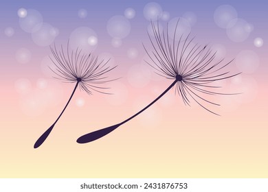 Vector illustration of dandelion time. Beautiful realistic Dandelion seeds blowing in the wind. The wind inflates a dandelion isolated in an editable evening purple sky background.