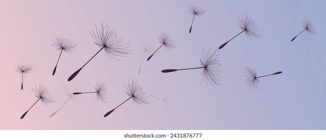 Vector illustration of dandelion time. Beautiful realistic Dandelion seeds blowing in the wind. The wind inflates a dandelion isolated in an editable evening purple sky background.