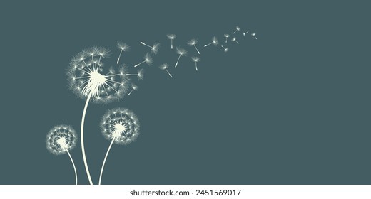 Vector illustration of dandelion time. Beautiful realistic Dandelion seeds blowing in the wind. The wind inflates a dandelion isolated in an editable evening background.