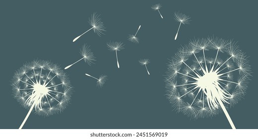 Vector illustration of dandelion time. Beautiful realistic Dandelion seeds blowing in the wind. The wind inflates a dandelion isolated in an editable evening background.