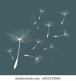 Vector illustration of dandelion time. Beautiful realistic Dandelion seeds blowing in the wind. The wind inflates a dandelion isolated in an editable evening background.