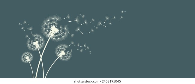 Vector illustration of dandelion time. Beautiful realistic Dandelion seeds blowing in the wind. The wind inflates a dandelion isolated in an editable evening background.