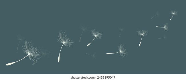 Ilustración vectorial del tiempo del diente de león. Hermosas semillas de diente de león realistas que soplan en el viento. El viento infla un diente de león aislado en un fondo de noche editable.