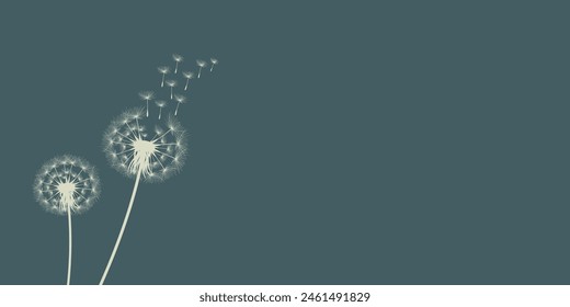 Vector illustration of dandelion time. Beautiful realistic Dandelion seeds blowing in the wind. The wind inflates a dandelion isolated in an editable evening background