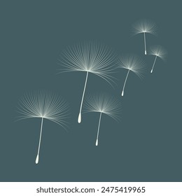 Vector illustration of dandelion time. Beautiful realistic Dandelion seeds blowing in the wind. The wind inflates a dandelion isolated in an editable evening background