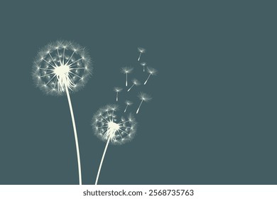 Vector illustration of dandelion time. Beautiful realistic Dandelion seeds blowing in the wind. The wind inflates a dandelion isolated in an editable evening background.