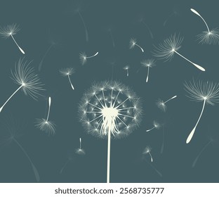 Vector illustration of dandelion time. Beautiful realistic Dandelion seeds blowing in the wind. The wind inflates a dandelion isolated in an editable evening background.